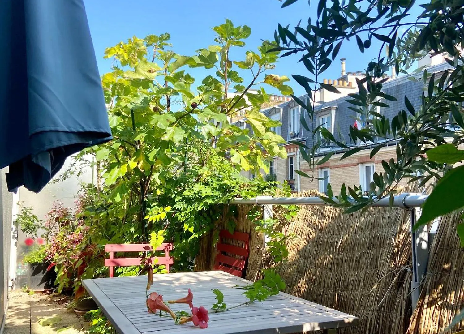 Appartement Avec Terrasse Paris